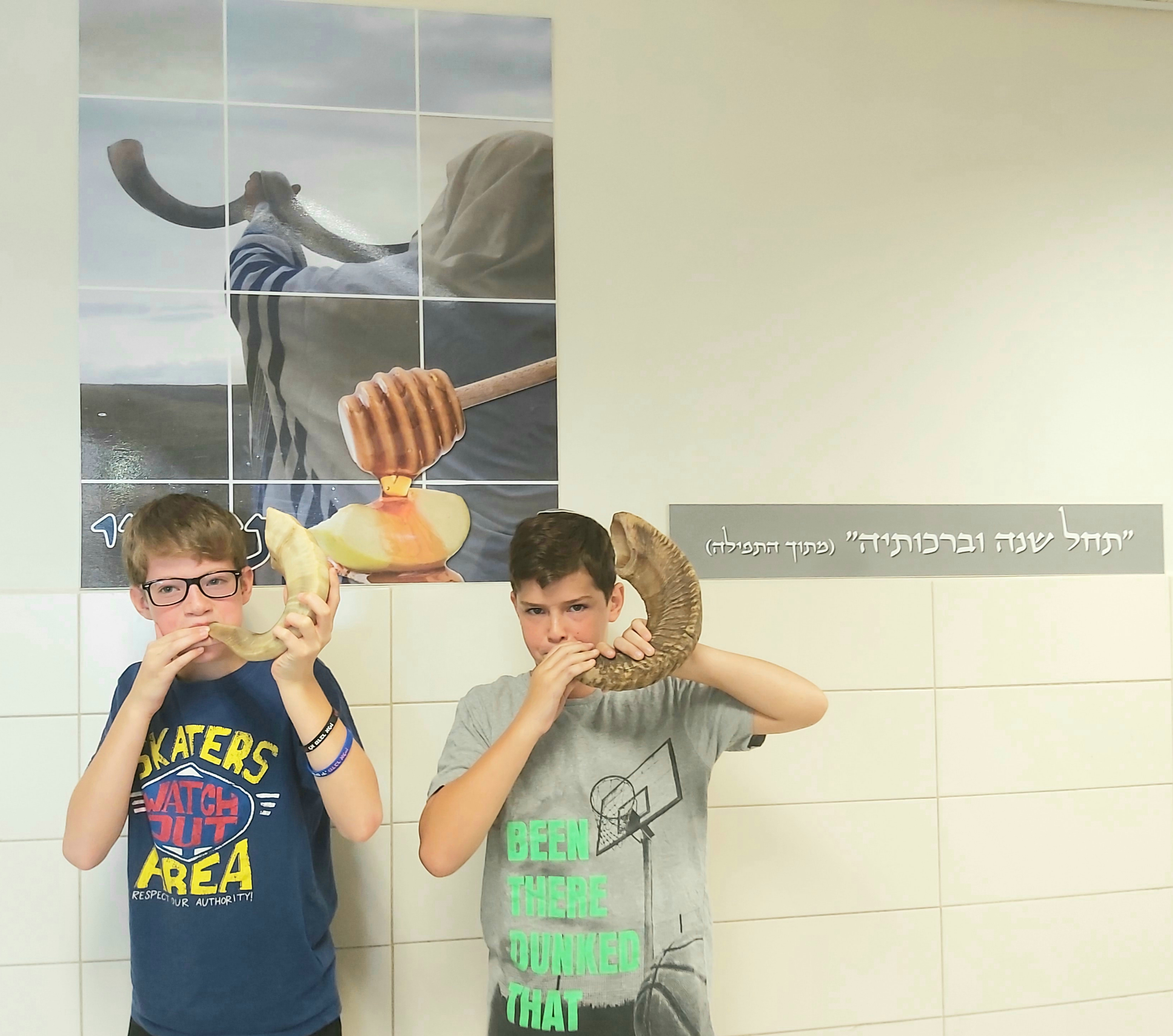 סדנת שופרות