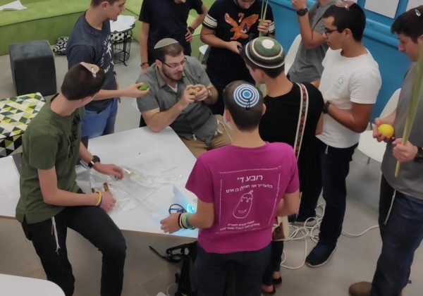 סדנת 4 המינים
