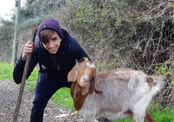 שבוע התנ”ך- סדנת מנהיגות ורעיית צאן